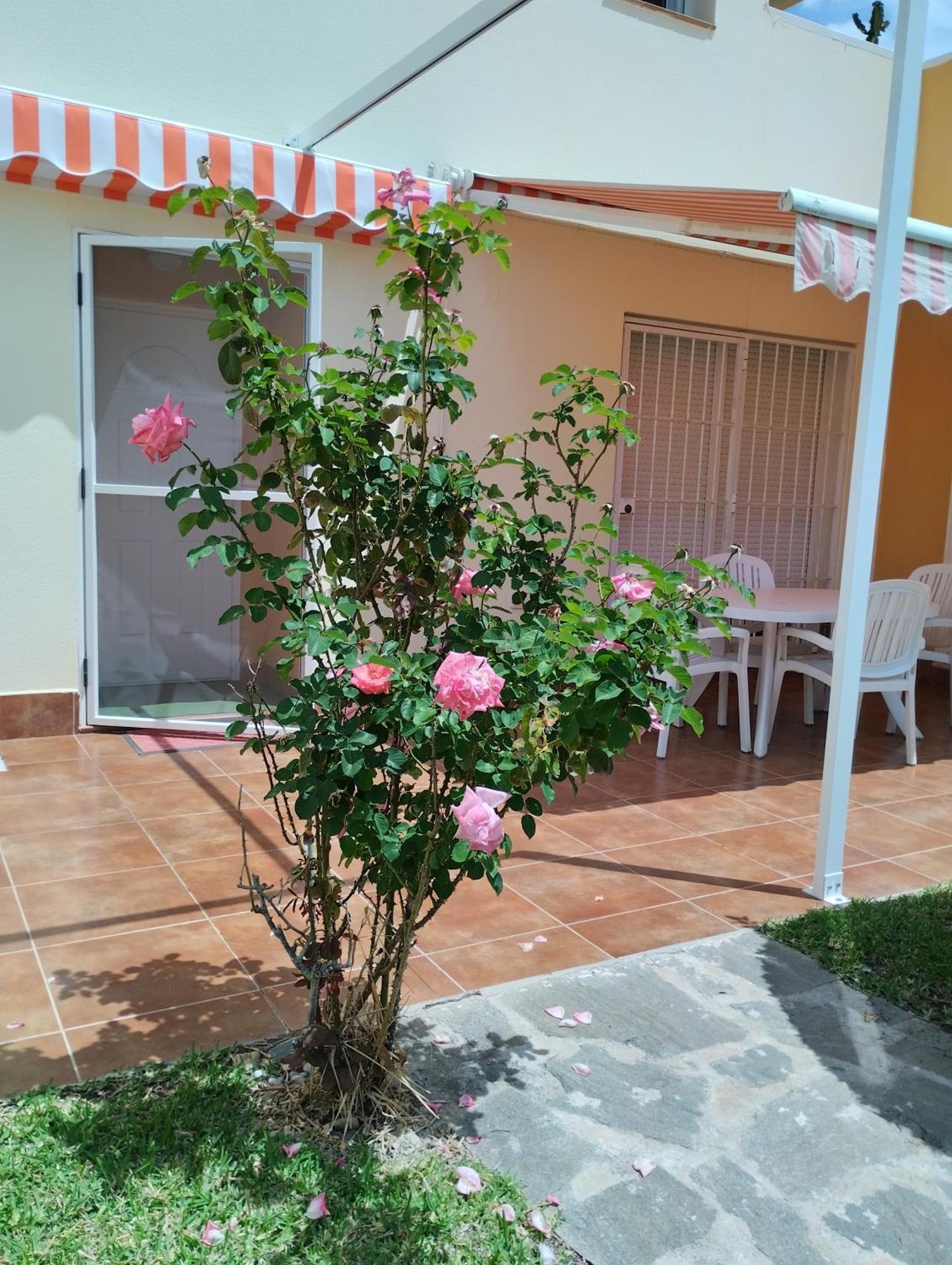 Bahia De Vera Apartamento Aquaria 외부 사진